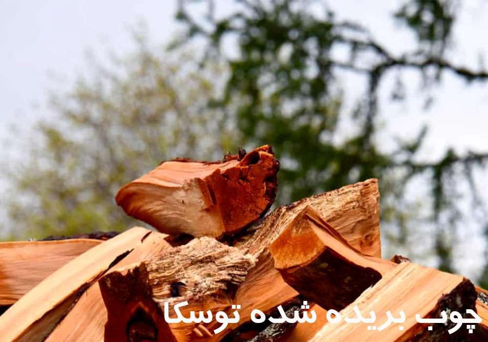 از کاربرد چوب توسکا یا توسکا چوب می توان به قابلیت نجاری شدن خوب اشاره کرد. یک چوب ابزارپذیر است و به‌ خوبی پیچ کاری می‌شود. در عین ‌حال اتصالات پیچی شده نیز در حجم چوب توسکا ماندگار هستند.